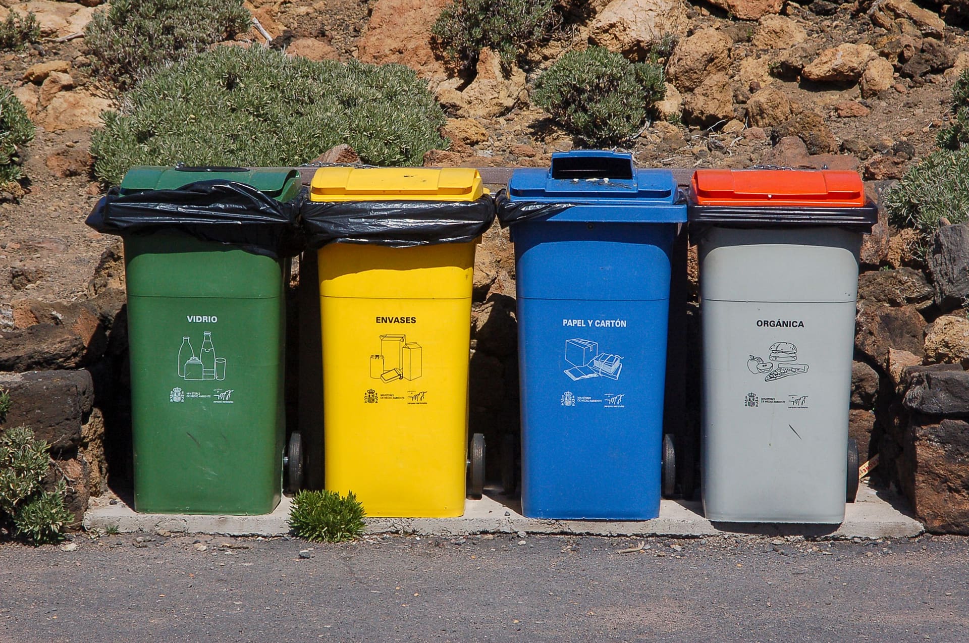 Vier farbige Mülltonnen für die Trennung von Glas, Verpackungen, Papier und Bioabfall